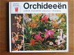 Orchideeën - 0 - Thumbnail