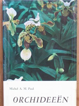 Orchideeën - 0