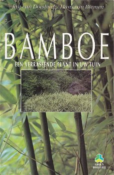 Bamboe - 0