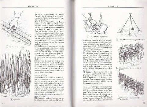 Wat U moet weten over Tuinieren - 2