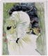 Figaro Illustré 1893 Belle Epoque Cheret Toulouse-Lautrec - 4 - Thumbnail