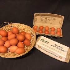 Te koop echte biologische eieren - 1