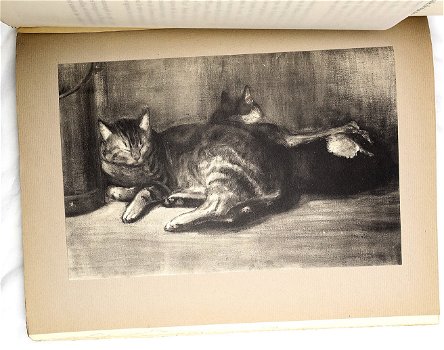 [Katten] Steinlen Chats et Autres Betes 1933 1/500 - 5