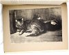 [Katten] Steinlen Chats et Autres Betes 1933 1/500 - 5 - Thumbnail