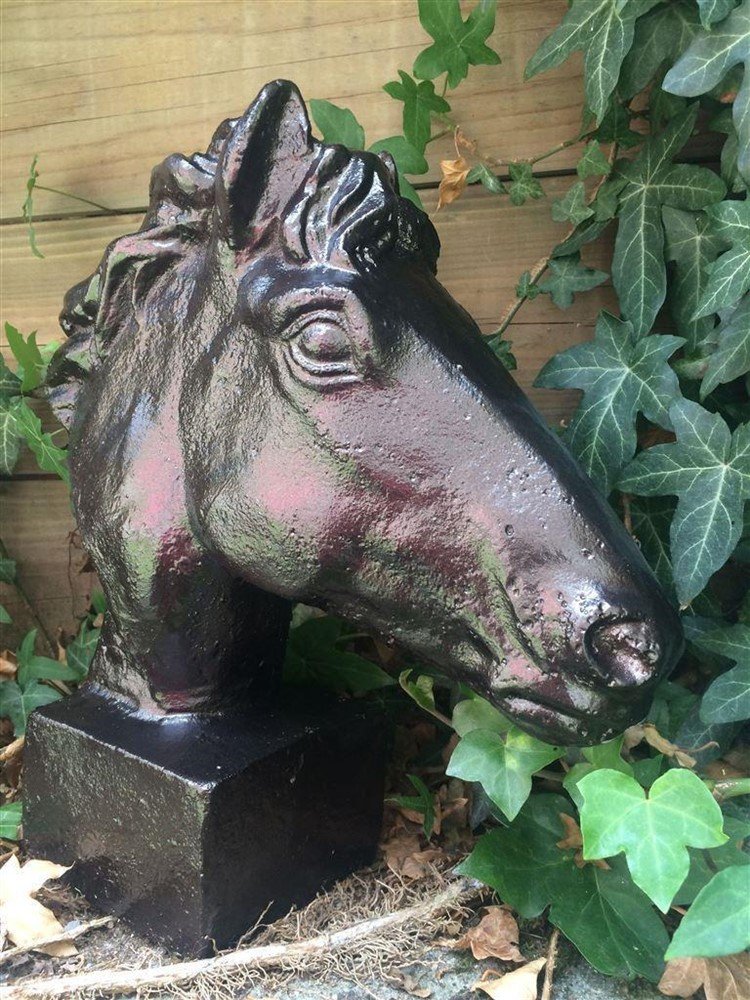 1 paard gietijzer hoofd, in roest-optica zwart-buste - Afbeelding 8