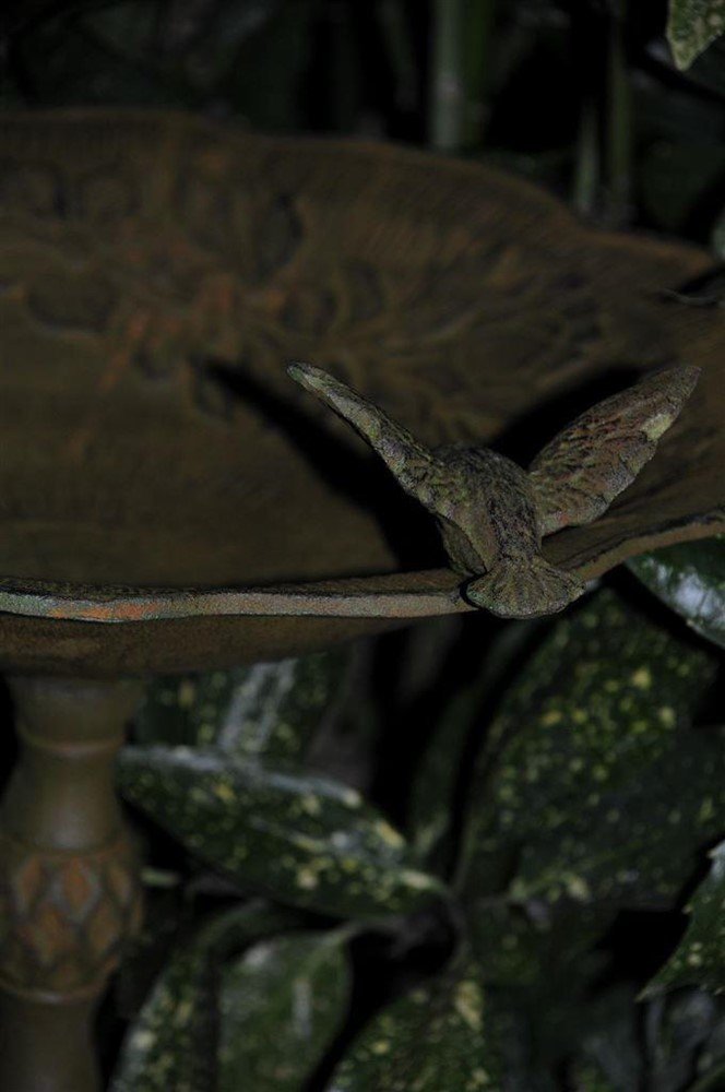 1 vogelbad met Hummingbird XL-vogel-tuinbad-decoratie - Afbeelding 3