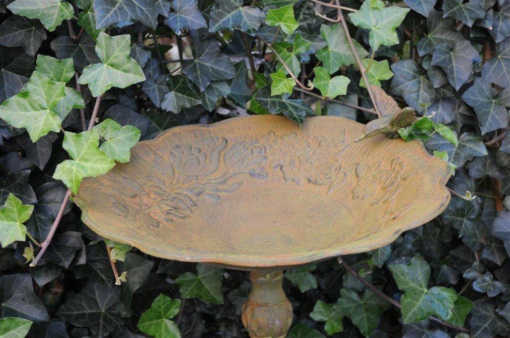 1 vogelbad met Hummingbird XL-vogel-tuinbad-decoratie - Afbeelding 8