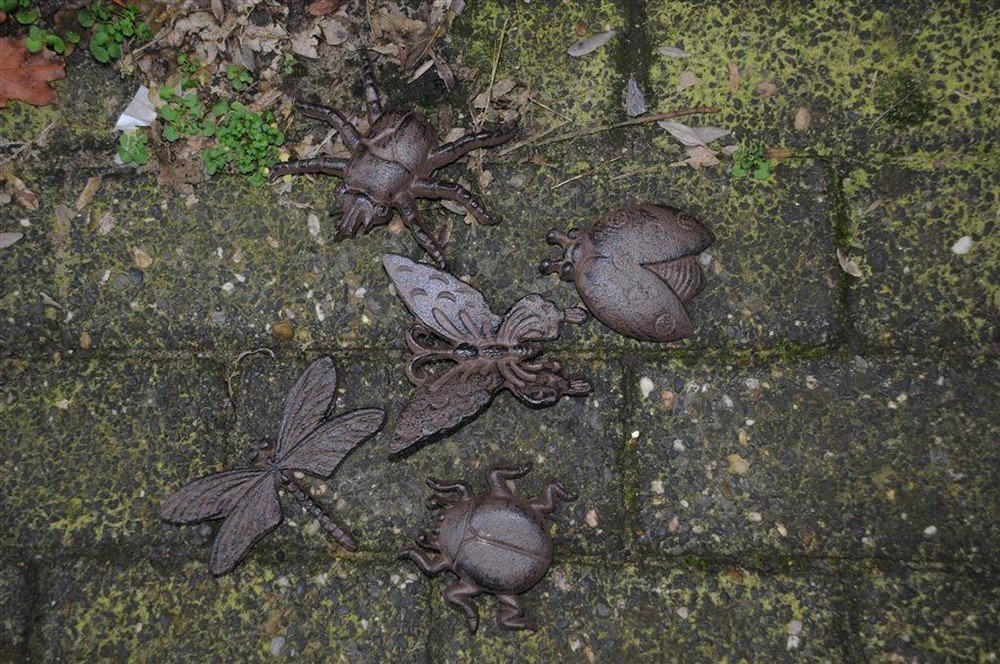 5 x insect gietijzer, wandornament- mooi-deco-tuin - Afbeelding 5
