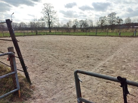 paardenstalling , pensionstal ( Raalte / Heino ) Zwolle - 2