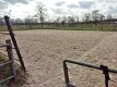 paardenstalling , pensionstal ( Raalte / Heino ) Zwolle - 2 - Thumbnail