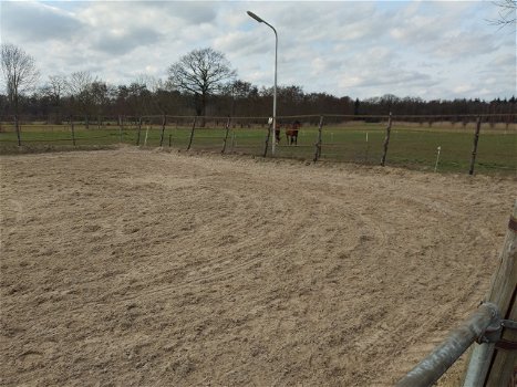 paardenstalling , pensionstal ( Raalte / Heino ) Zwolle - 3