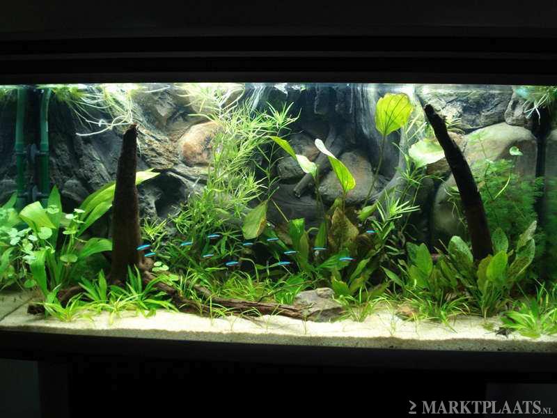 Op maat gemaakte Polyester Aquarium achterwanden. - nr. 1