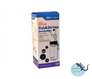 Egg Tumblers Ziss Aqua - Afbeelding 4