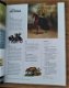 National Geographic Historia nummer 6 2020 - 1 - Thumbnail