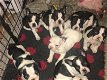 French bulldogs puppies - 2 - Thumbnail