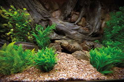 Amazone Aquarium achterwand 150x60cm in 2 delen.