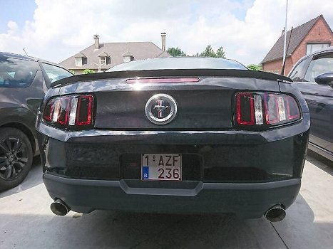 Mustang - 1