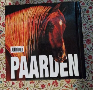 Paarden Kubusboek fotoboek - 1