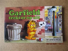 adv0666 garfield oblong 2