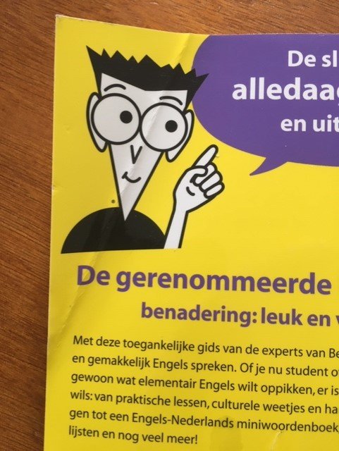 Engels voor dummies - Gail Brenner - Afbeelding 3