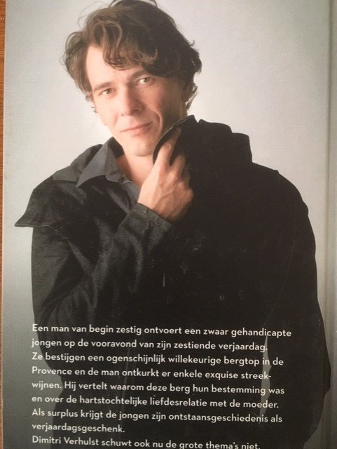 De zomer hou je ook niet tegen - Dimitri Verhulst - Afbeelding 2