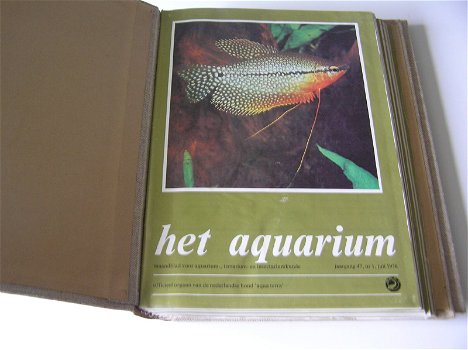 Het aquarium - 2