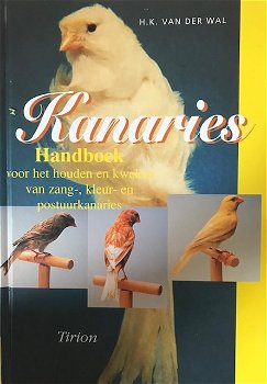 Kanaries, H.K.Van Der Wal - 0