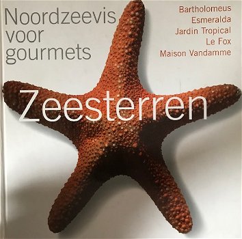 Zeesterren noordzeevis voor gourmets - 0