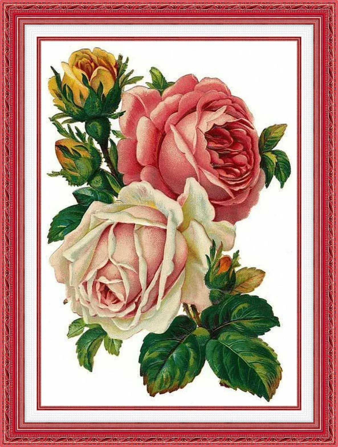 # Compleet borduurpakket; Rozen # - nr. 1