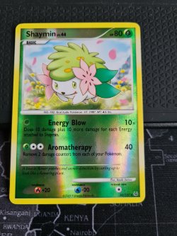 Shaymin 38/127 ( Reverse ) Platinum (Base Set)