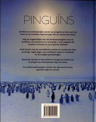 PINGUÏNS - Daniel Gilpin HARDE KAFT - Afbeelding 2