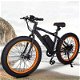 Fat Tire elektrische fiets (CityCoco) - 7 - Thumbnail