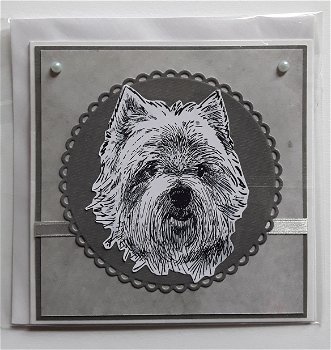 Hondenkaart 34 blanco met west highland white terrier - 0