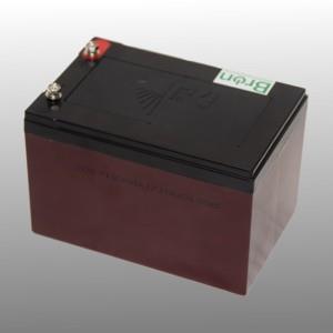 Cyclische loodaccu 12V 12Ah step, scootmobiel - Afbeelding 2