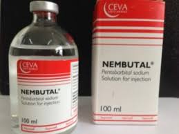 Koop nembutal online, koop pentobarbital online - nr. 1