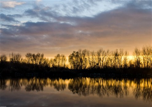 Huis in hongarije aan de oostenrijkse grens / Neusiedler meer - 7