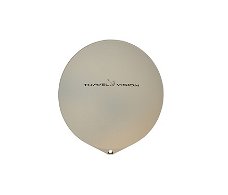 Travel Vision R6 spare part 80cm Dish