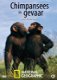 Chimpansees In Gevaar (DVD) National Geographic - 0 - Thumbnail