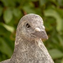 Tuinbeeld duif, dierenbeeld, beeld gemaakt van steen -kado - Afbeelding 3