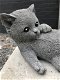 Beeld van een spelende kat / poes, gemaakt van steen, heel leuk - 6 - Thumbnail