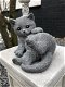 Beeld van een spelende kat / poes, gemaakt van steen, heel leuk - 7 - Thumbnail