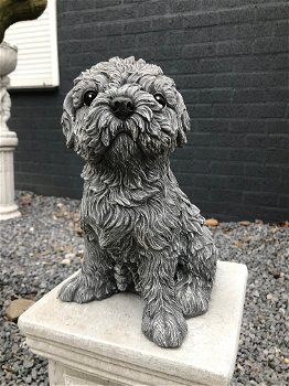 Beeld van een shihtzu, gaaf honden figuur, dierenbeeld, steen - 0