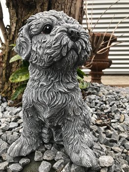 Beeld van een shihtzu, gaaf honden figuur, dierenbeeld, steen - 1