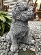 Beeld van een shihtzu, gaaf honden figuur, dierenbeeld, steen - 2 - Thumbnail