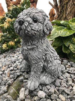Beeld van een shihtzu, gaaf honden figuur, dierenbeeld, steen - 3