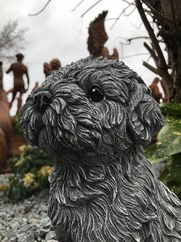 Beeld van een shihtzu, gaaf honden figuur, dierenbeeld, steen - 4