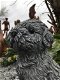 Beeld van een shihtzu, gaaf honden figuur, dierenbeeld, steen - 4 - Thumbnail