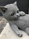 Beeld van een spelende kitten (kat / poes), gemaakt van steen - 6 - Thumbnail