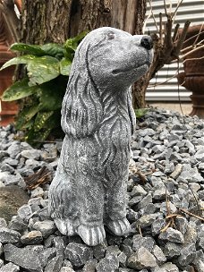 Decoratie dierenbeelden, hond Cocker Spaniel, steen, tuinbeeld