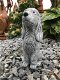 Decoratie dierenbeelden, hond Cocker Spaniel, steen, tuinbeeld - 2 - Thumbnail